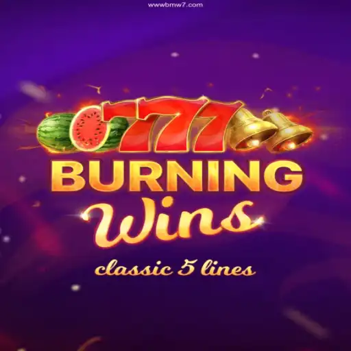 Exploring BurningWins: A Classic Casino Experience